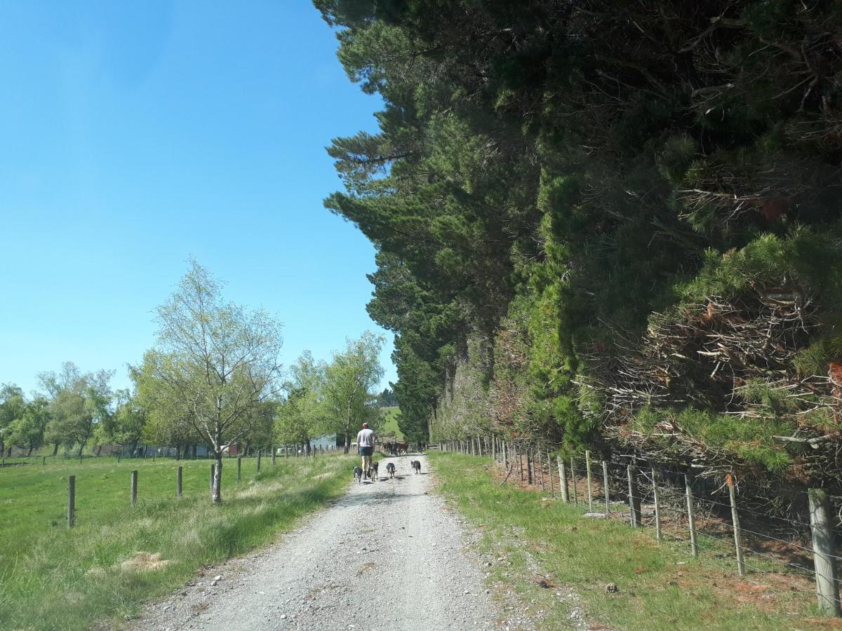 Te Anau Farm Cottage Zewnętrze zdjęcie